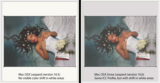 Mac OSX Leopard Color Shift in White Areas Comparison